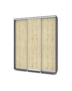 Шкаф-купе Роланд Р481 Modern