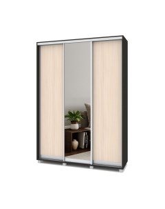 Шкаф-купе Роланд Р462 Modern