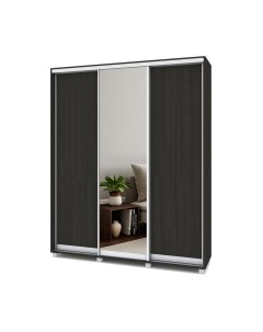 Шкаф-купе Роланд Р482 Modern