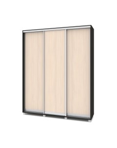 Шкаф-купе Роланд Р481 Modern