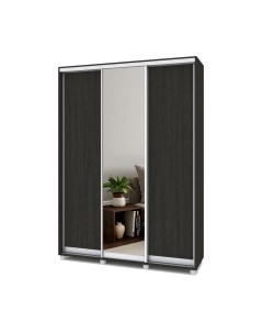 Шкаф-купе Роланд Р462 Modern