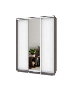 Шкаф-купе Роланд Р462 Modern