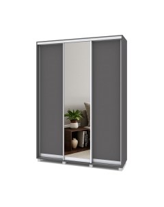 Шкаф-купе Роланд Р462 Modern