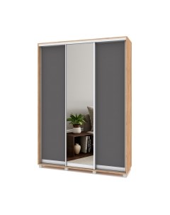 Шкаф-купе Роланд Р462 Modern