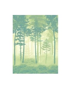 Фотообои листовые Citydecor Таинственный лес 11