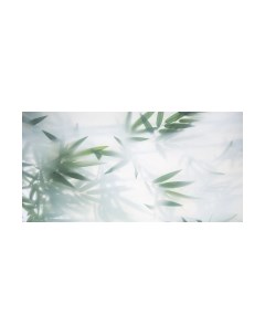 Фотообои листовые Citydecor Цветы и Растения 153