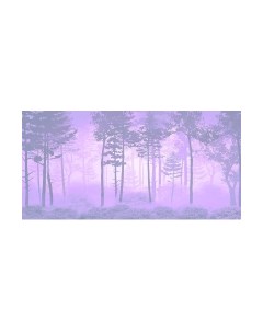 Фотообои листовые Citydecor Таинственный лес 13