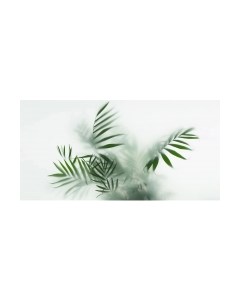 Фотообои листовые Citydecor Цветы и Растения 155