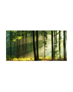 Фотообои листовые Citydecor Природа 28