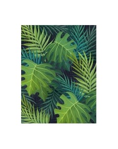 Фотообои листовые Citydecor Цветы и Растения 123