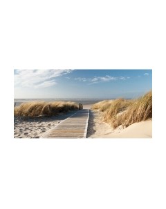 Фотообои листовые Citydecor Природа 13