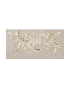 Фотообои листовые Citydecor Цветы и Растения 175