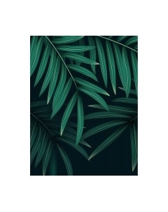 Фотообои листовые Citydecor Цветы и Растения 137