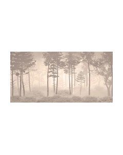Фотообои листовые Citydecor Таинственный лес 10