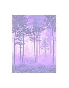 Фотообои листовые Citydecor Таинственный лес 13