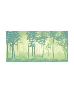 Фотообои листовые Citydecor Таинственный лес 11