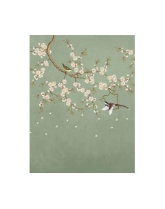 Фотообои листовые Citydecor Цветы и Растения 176