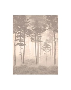 Фотообои листовые Citydecor Таинственный лес 10
