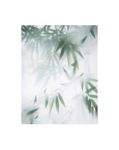 Фотообои листовые Citydecor Цветы и Растения 153