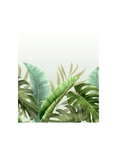 Фотообои листовые Citydecor Цветы и Растения 129