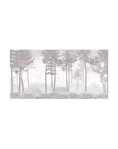 Фотообои листовые Citydecor Таинственный лес 15