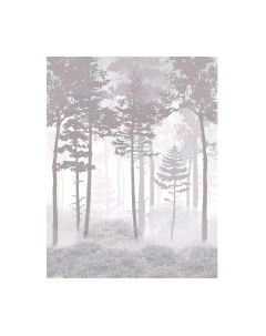 Фотообои листовые Citydecor Таинственный лес 15