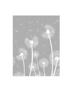 Фотообои листовые Citydecor Цветы и Растения 9