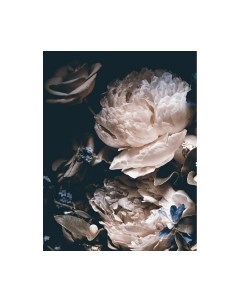 Фотообои листовые Citydecor Цветы и Растения 3