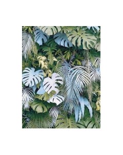 Фотообои листовые Citydecor Цветы и Растения 145