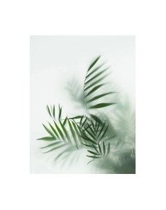 Фотообои листовые Citydecor Цветы и Растения 155