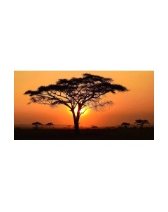 Фотообои листовые Citydecor Природа 94