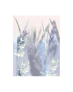 Фотообои листовые Citydecor Цветы и Растения 182