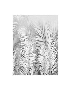 Фотообои листовые Citydecor Пальмовые листья Air 74