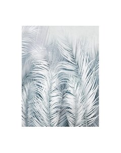Фотообои листовые Citydecor Пальмовые листья Air 75