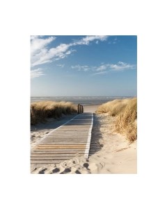 Фотообои листовые Citydecor Природа 13