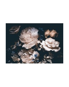 Фотообои листовые Citydecor Цветы и Растения 3