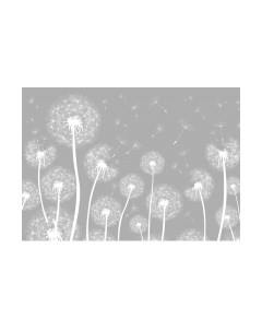 Фотообои листовые Citydecor Цветы и Растения 9