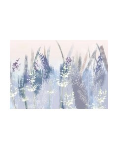 Фотообои листовые Citydecor Цветы и Растения 182