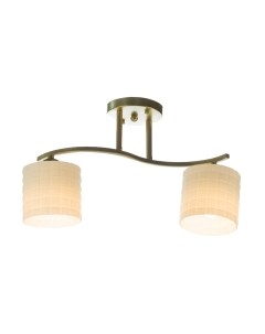 Потолочный светильник Aitin-Pro НПБ 02-2x60-101 / N5944/2 Aitin-pro