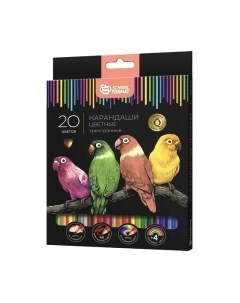 Набор цветных карандашей Дикая планета / КЦ20Н-ДП Schoolформат