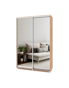 Шкаф-купе Роланд Р453 Modern