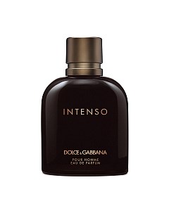 Парфюмерная вода Dolce&Gabbana Intenso Pour Homme Dolce&gabbana