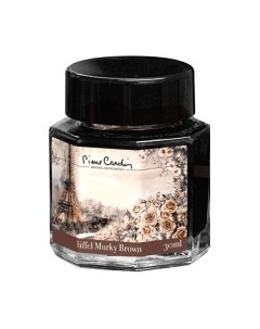 Чернила для перьевой ручки Pierre Cardin City Fantasy / PC332-S10 Pierre cardin