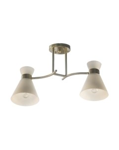 Потолочный светильник НПБ 02-2x60-101 / N5685/2 Aitin-pro