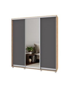 Шкаф-купе Мартин М402 Modern