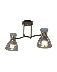 Потолочный светильник Aitin-Pro НПБ 02-2x60-101 / N5686/2 Aitin-pro