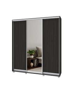 Шкаф-купе Мартин М402 Modern