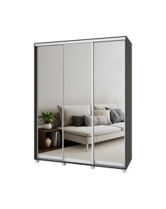 Шкаф-купе Роланд Р673 Modern