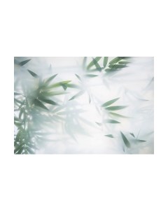 Фотообои листовые Citydecor Цветы и Растения 153