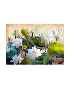 Фотообои листовые Citydecor Цветы и Растения 163